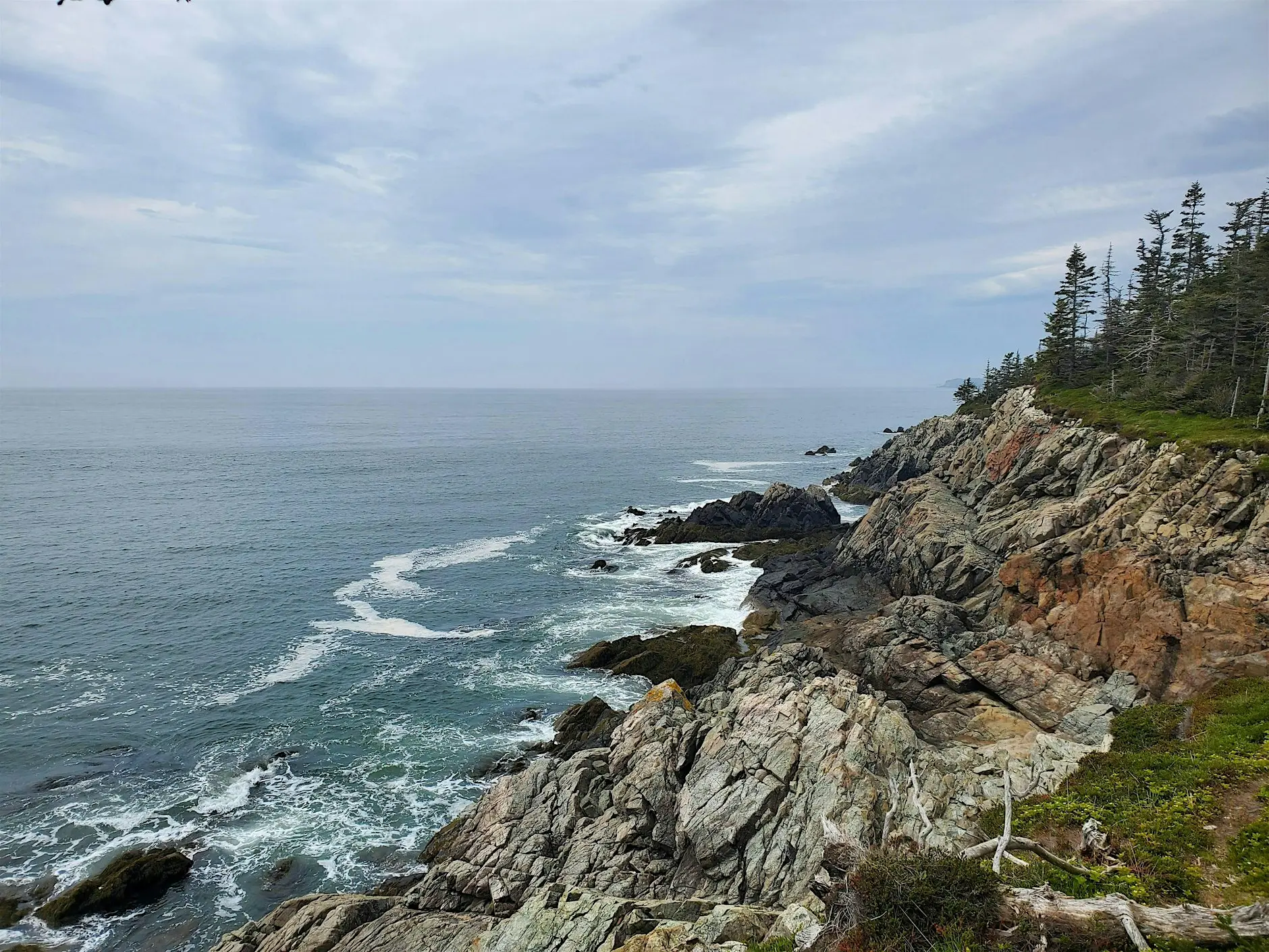 Celebrate Ocean Day at New River Beach - Nature Walk